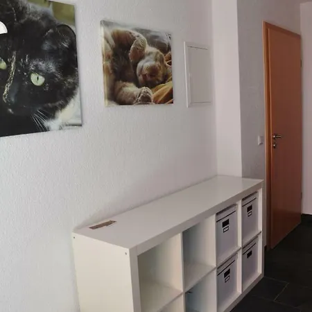 Ferienwohnung-Roter-Kater-Am-Nationalpark-Eifel-Mechernich-Bergbuir Daire Mechernich